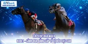 Quy trình tham gia cá cược đua ngựa 8XBET đơn giản