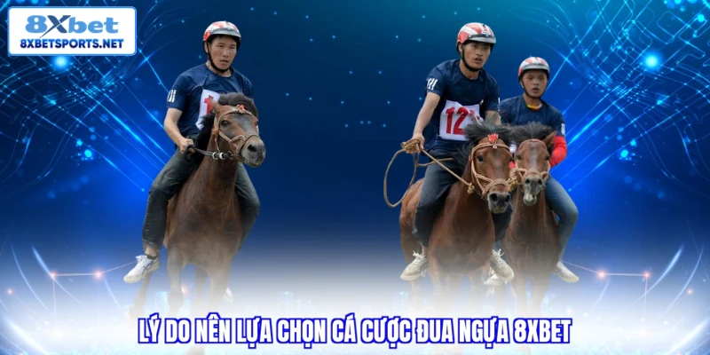 Lý do nên lựa chọn cá cược đua ngựa 8XBET