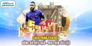 Cách phân tích kèo bóng đá hiệu quả ma trận dữ liệu